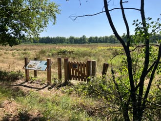 Kadaverplek KempenBroek 
