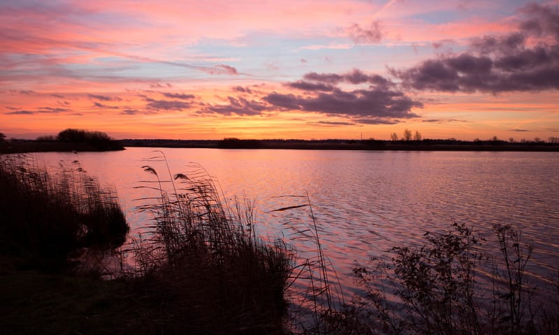 Ringselven Ringselven