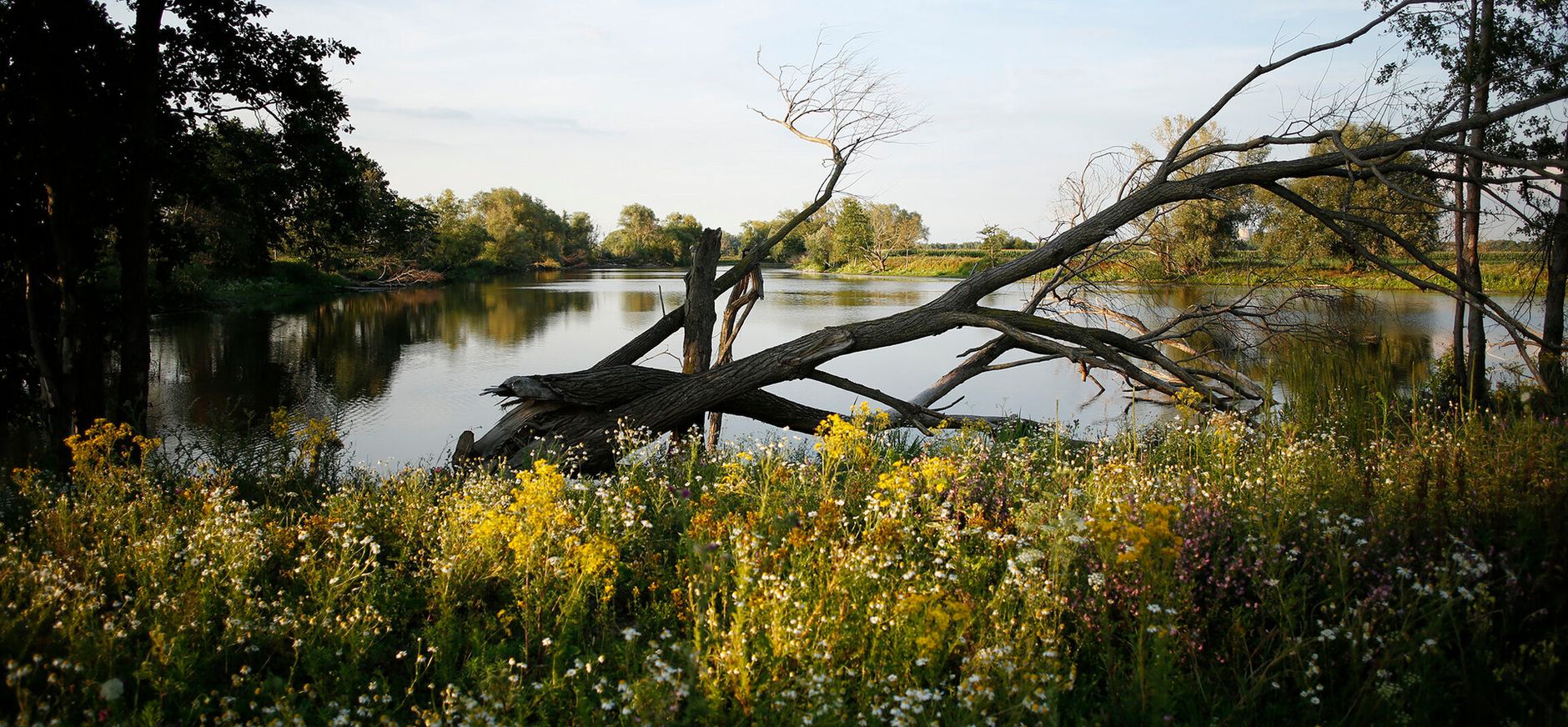 Natuurgebied Ohé en Laak