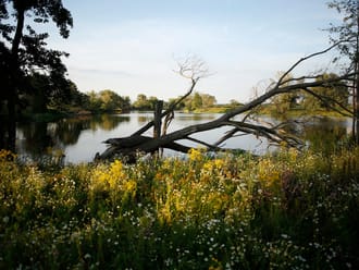 Natuurgebied Ohé en Laak