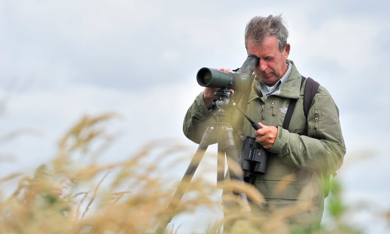 Vogelonderzoek Vogelonderzoek