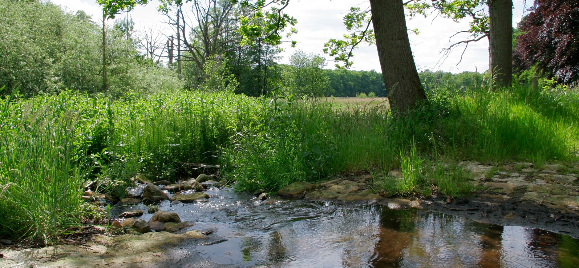 Hazelbekke Hazelbekke