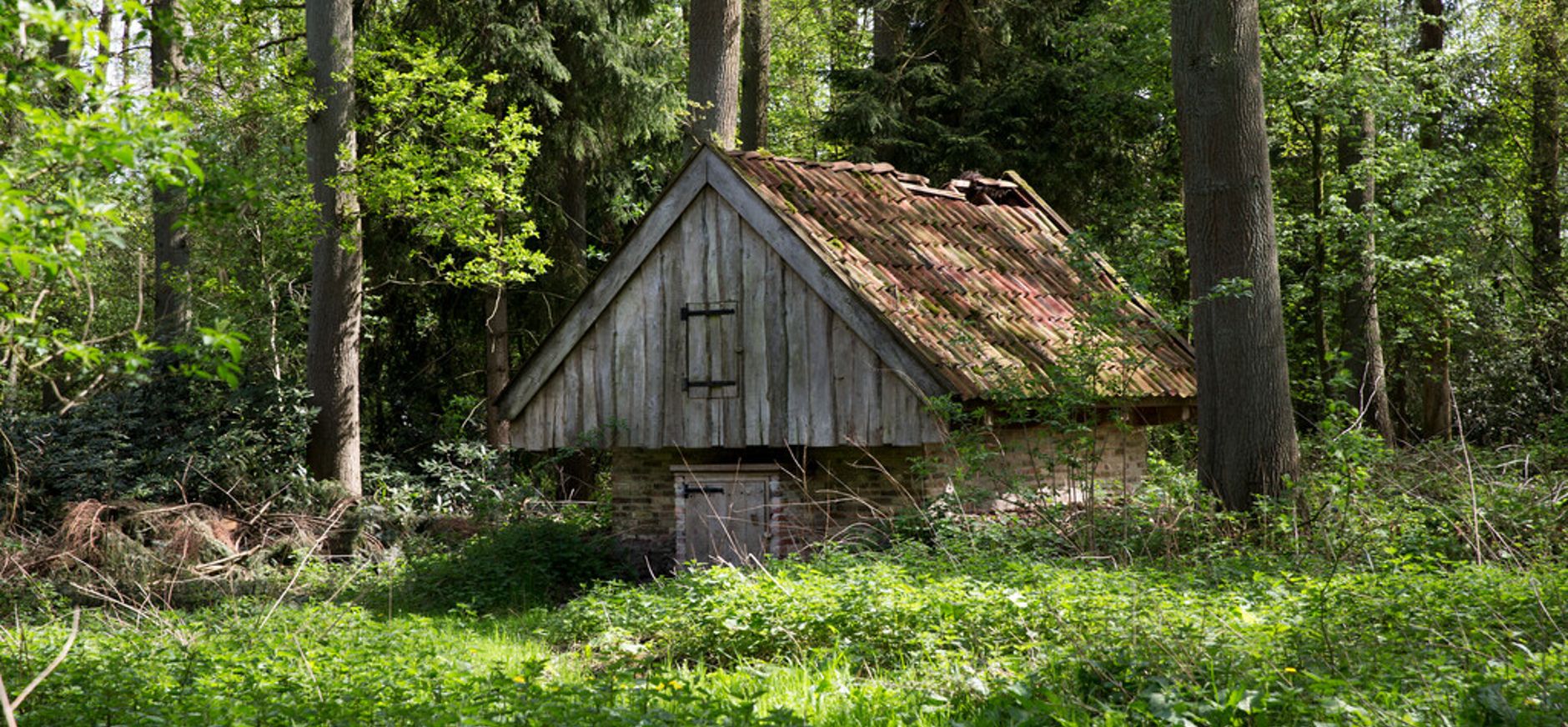 Aardappelkelder