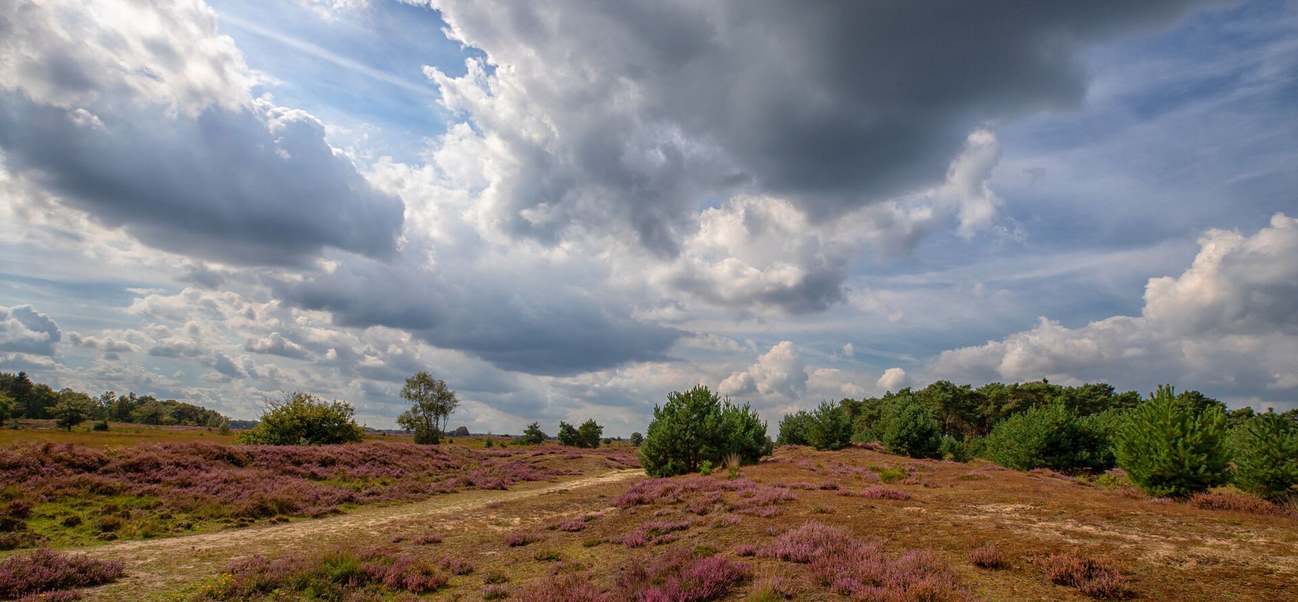 Natuurgebied Kampina