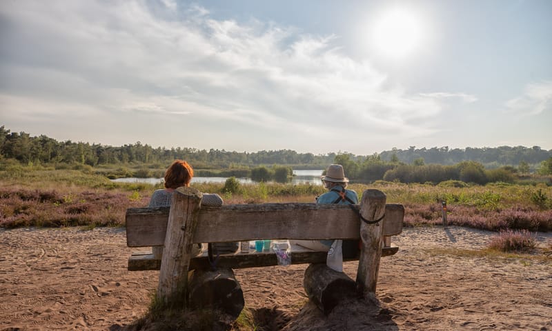 Genieten aan de Huisvennen op de Kampina Genieten aan de Huisvennen op de Kampina