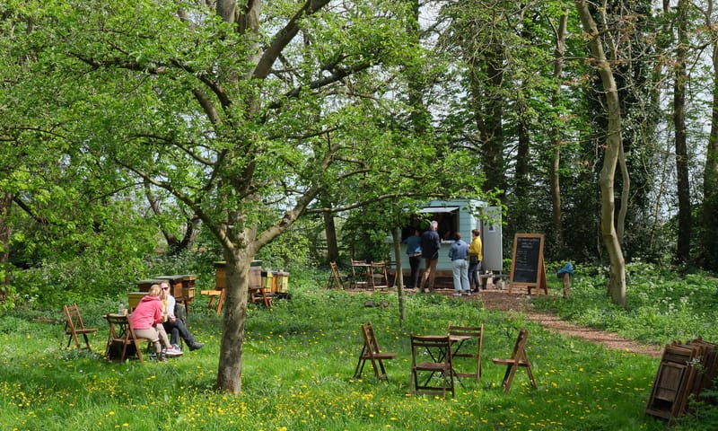 Theetuin Buitenplaats De Tempel