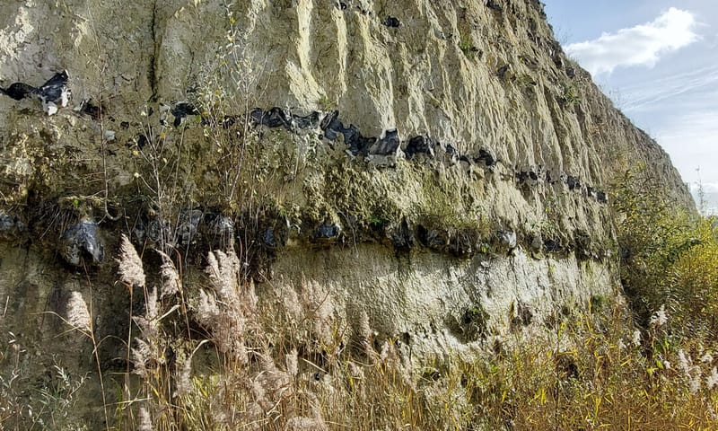 geologische lagen geologische lagen