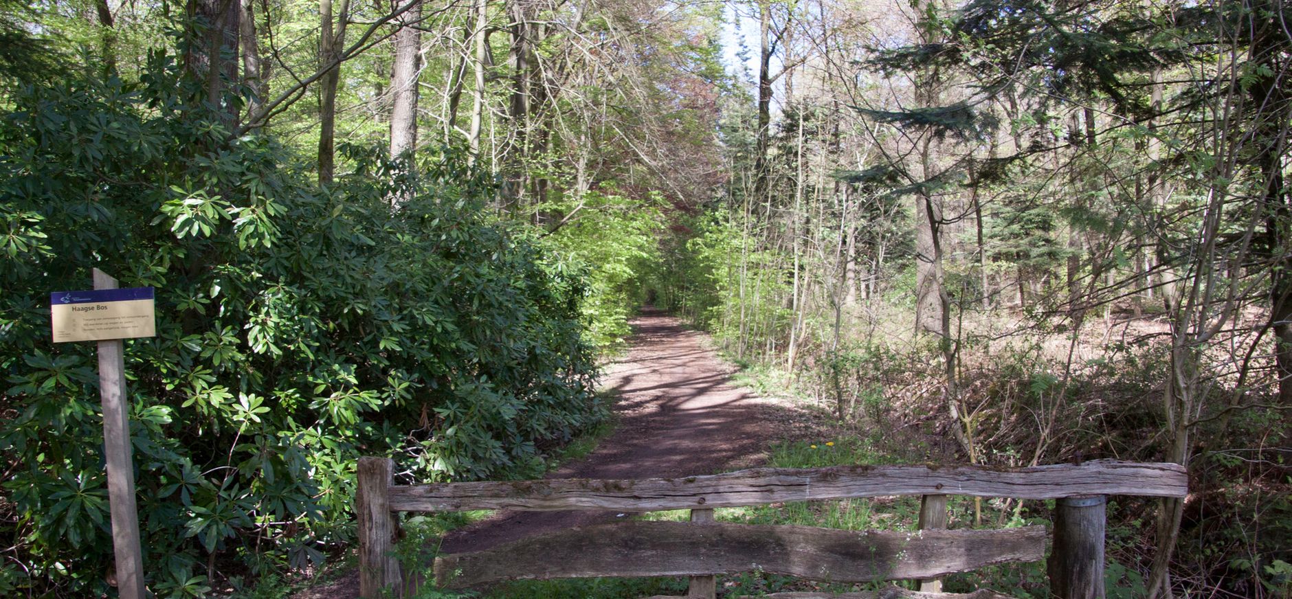 Haagse bos Haagse bos