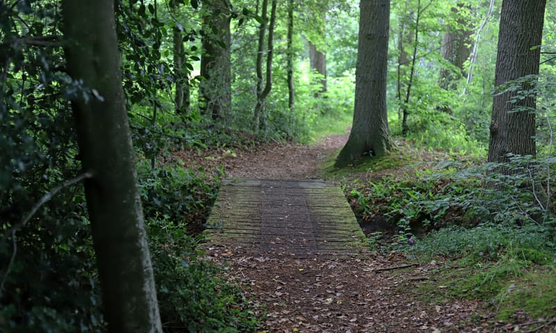 Duivelshof brug Duivelshof brug