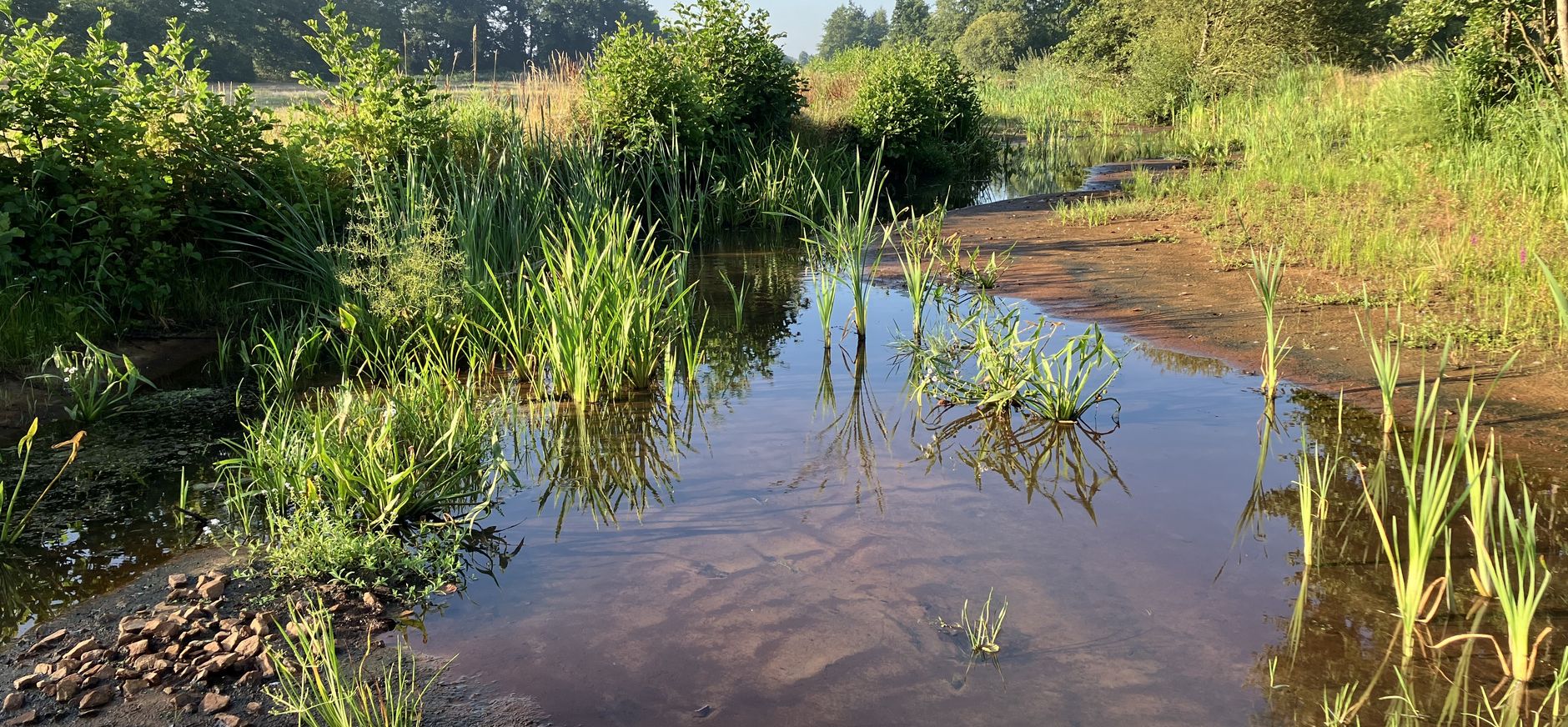 Nieuw Drostendiep Nieuw Drostendiep