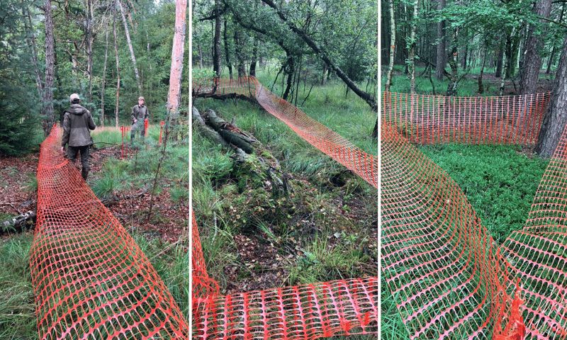 Fotocollage van de plaatsing van ski-netten in het projectgebied op landgoed De Slotplaats.
