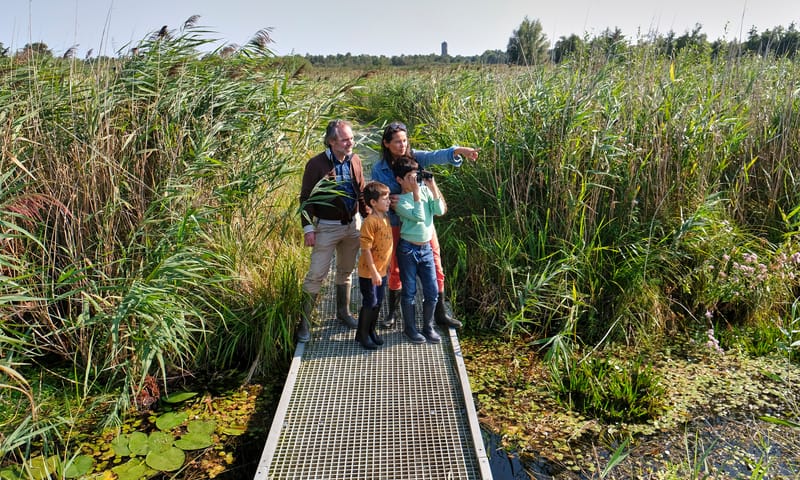 Floating walkway Floating walkway