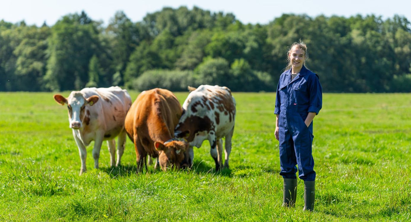 Landgoed het Hengelman Landgoed het Hengelman