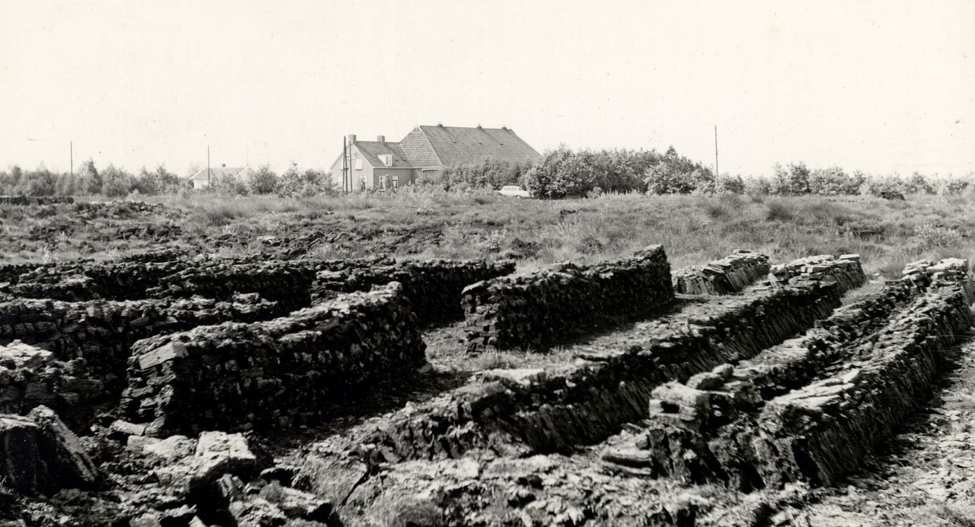 Vervening Fochteloerveen Vervening Fochteloerveen