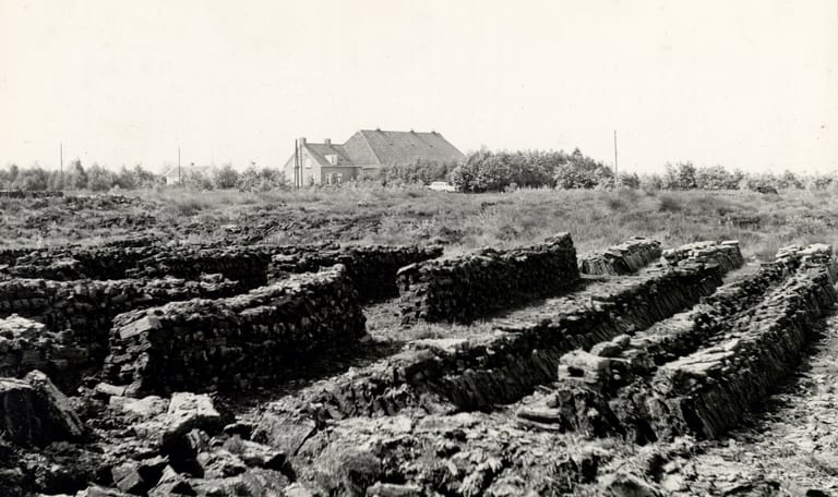 Vervening Fochteloerveen Vervening Fochteloerveen