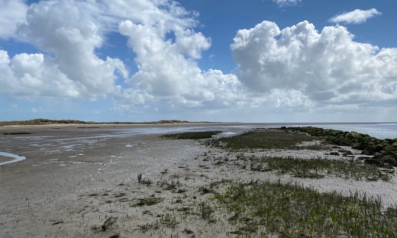 Het storten van basaltstenen voor kustbescherming op Terschelling verbreekt de natuurlijke vestigingscyclus van kwelders. Ontstaan kwelder