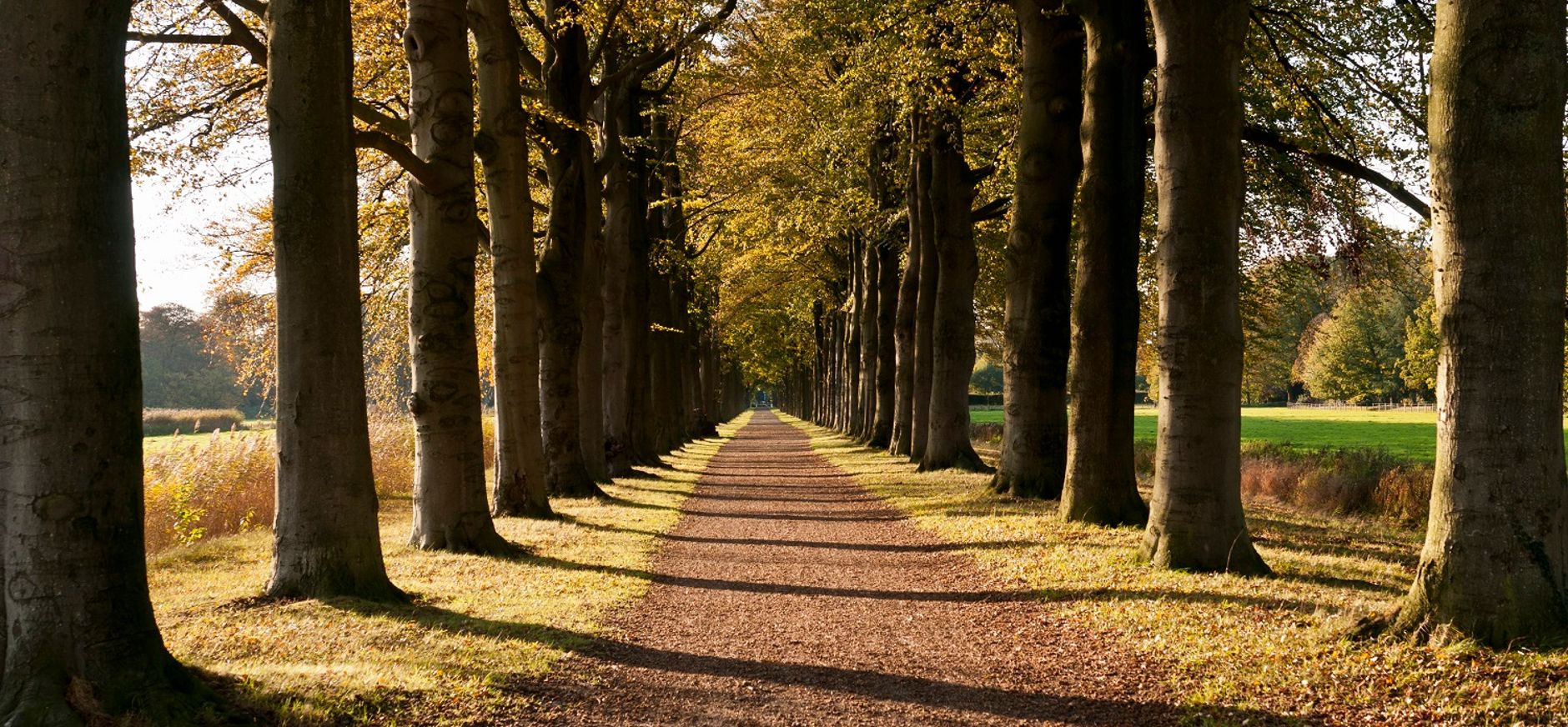 Beukenlaan