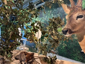 Bezoekerscentrum Gooi en Vechtstreek