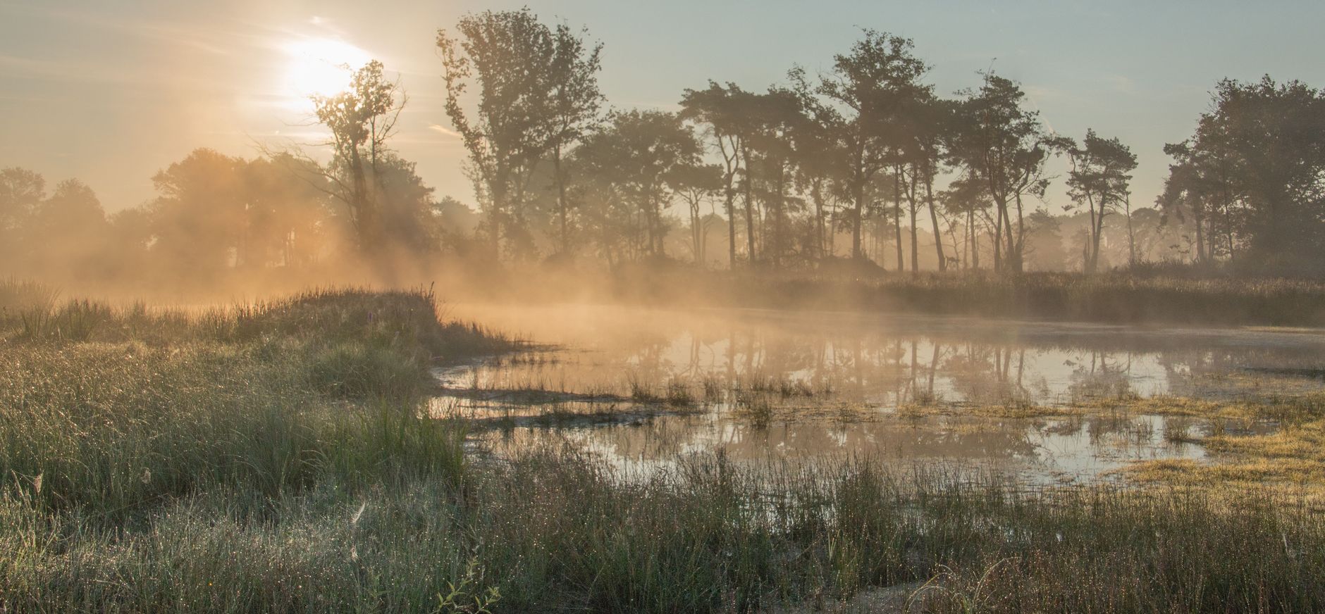 Empese Heide