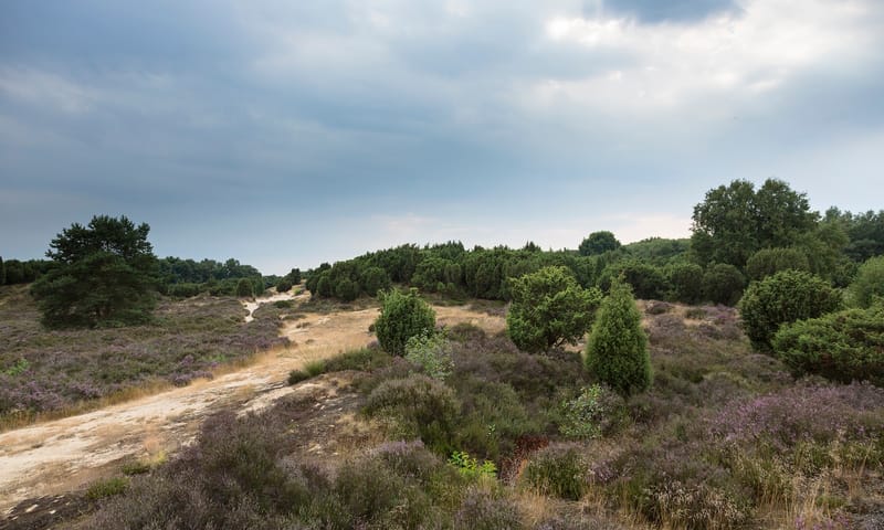 Mantingerzand Mantingerzand