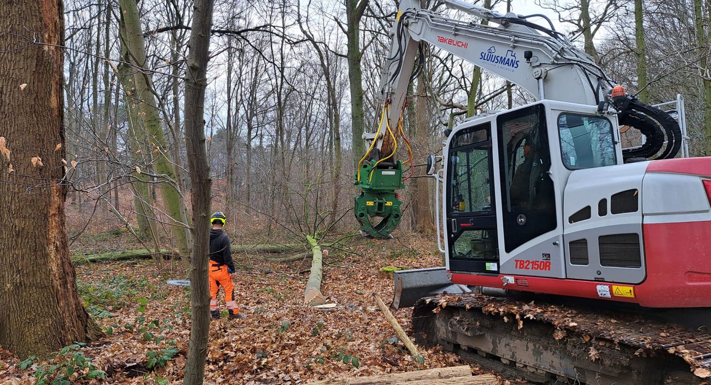 Boswerkzaamheden in het Geleenbeekdal