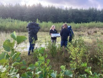 Natuurlijke vijand in strijd tegen woekerplant watercrassula