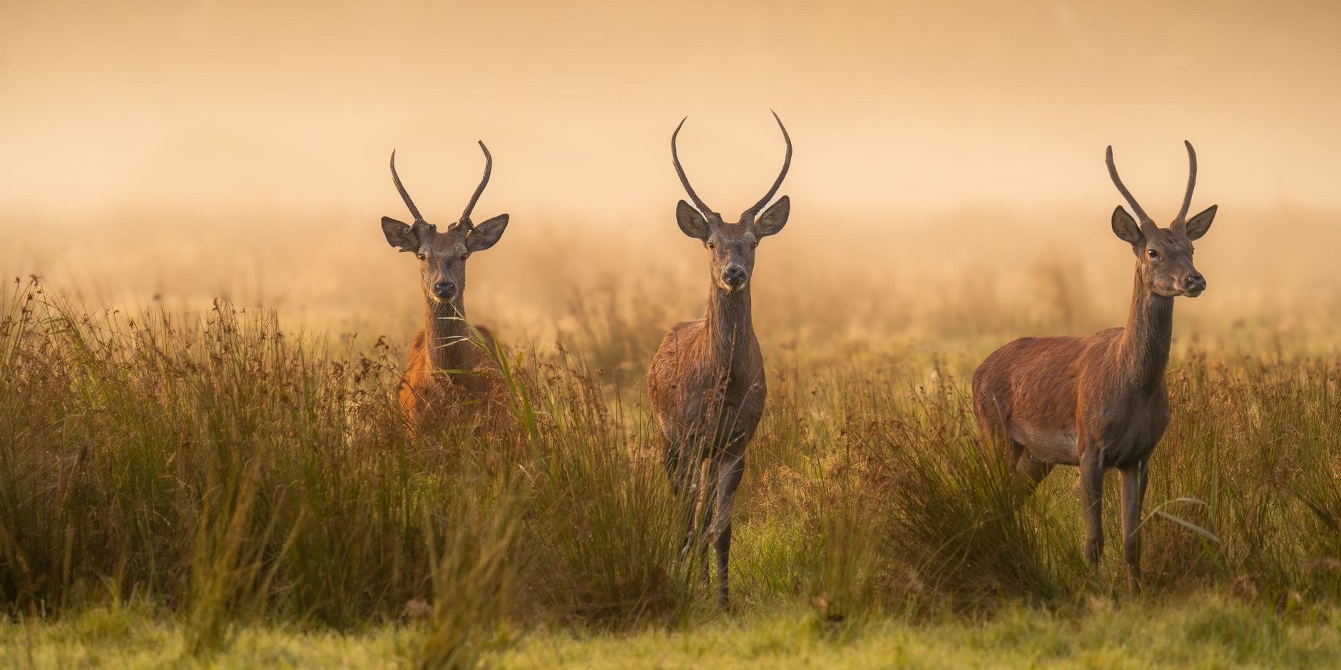 Red de natuur