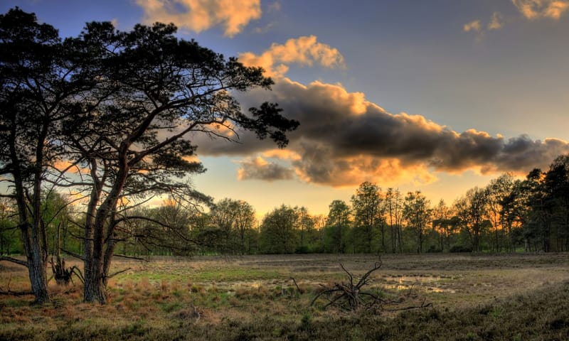 Avond Eerder Achterbroek Avond Eerder Achterbroek