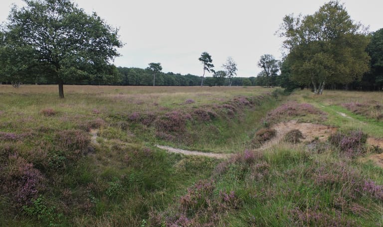 Excursie Noordlaarderbos en de Vijftig Bunder