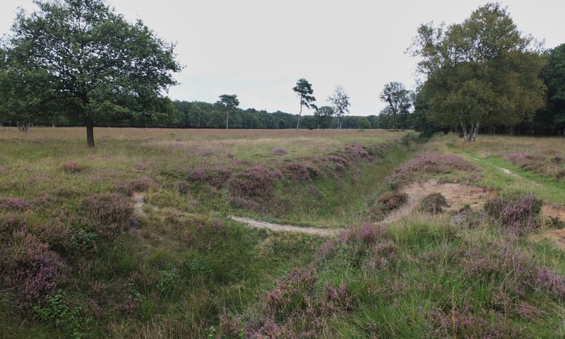Excursie Noordlaarderbos en de Vijftig Bunder