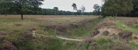 Excursie Noordlaarderbos en de Vijftig Bunder