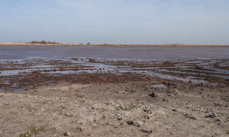 eerdere werkzaamheden in Polder IJdoorn eerdere werkzaamheden in Polder IJdoorn