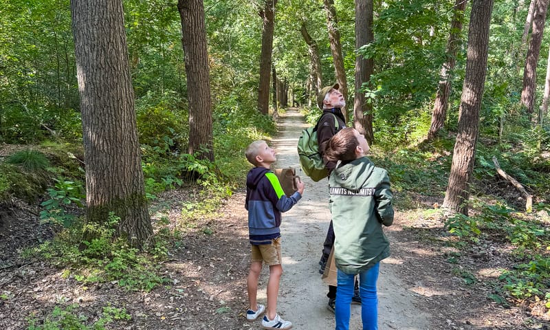 Kinderen en boswachter kijken omhoog in het bos
