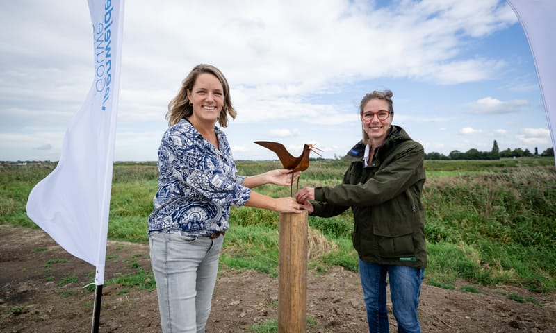 De grutto wordt onthuld Monique Verweij van het programmabureau en Suzan Buchner van Natuurmonumenten onthullen de grutto