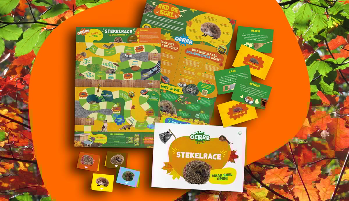 Help de egel, speel de Stekelrace