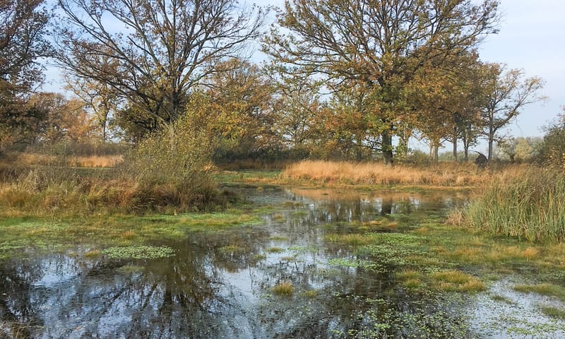 Empese en Tondense Heide