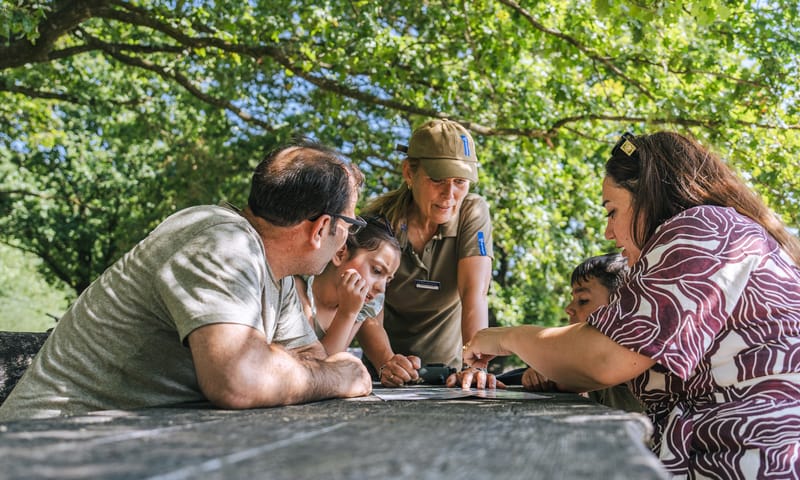 Vrijwillige boswachter Drents Friese Wold Vrijwillige boswachter Drents Friese Wold