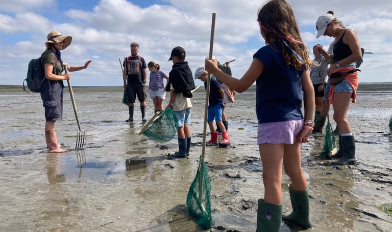 een groep mensen staat op het wad te luisteren naar de uitleg van de gids