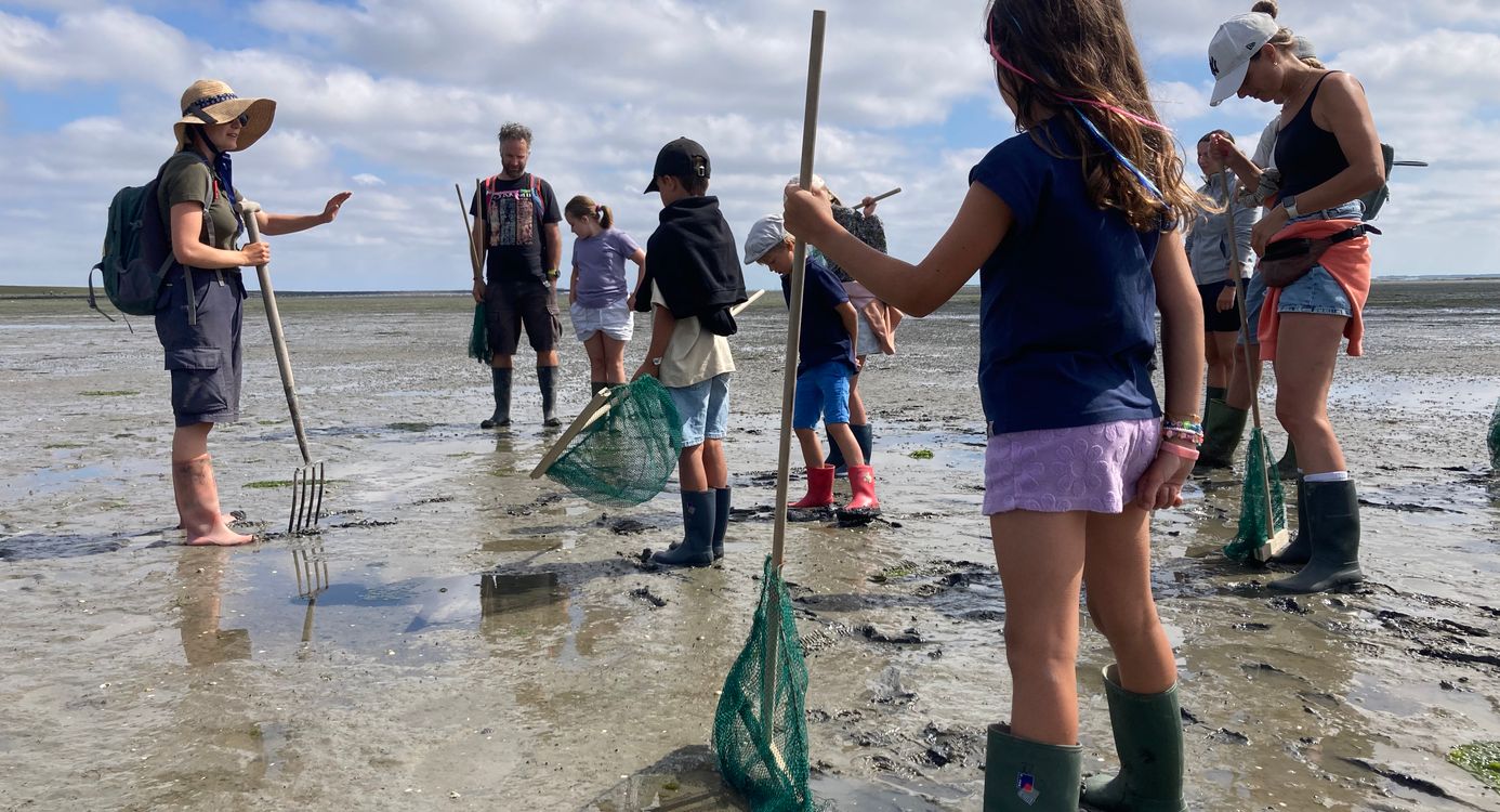 een groep mensen staat op het wad te luisteren naar de uitleg van de gids