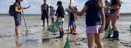 een groep mensen staat op het wad te luisteren naar de uitleg van de gids