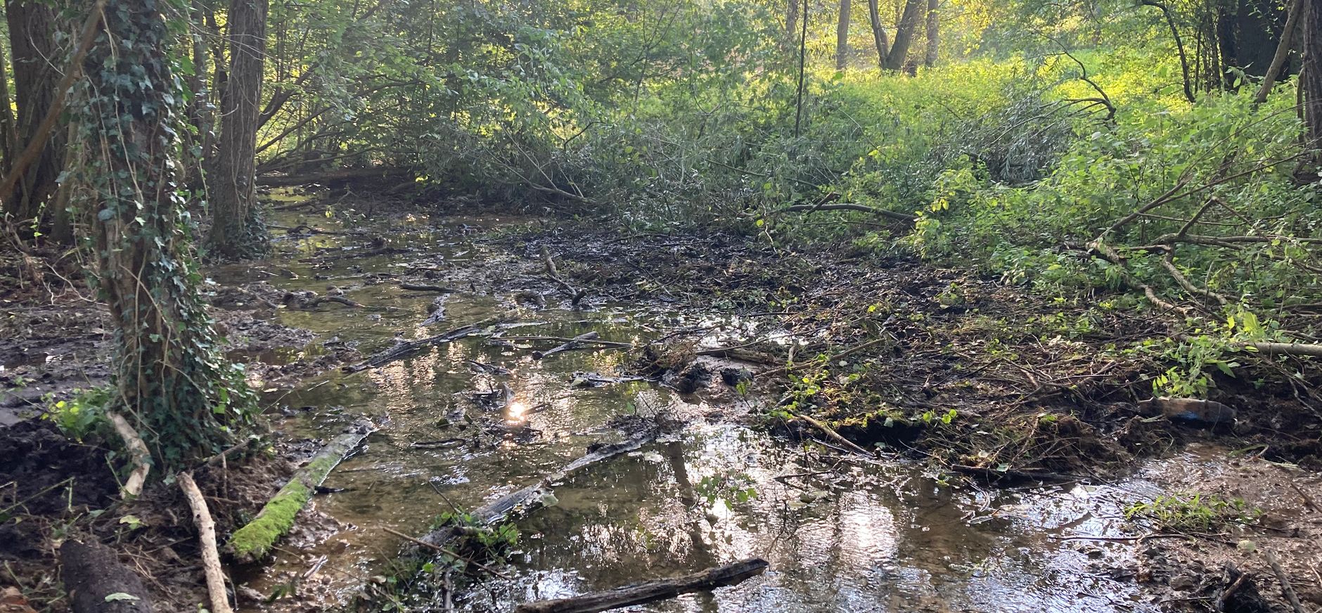 Minder diep gemaakt zijbeekje van de Noor
