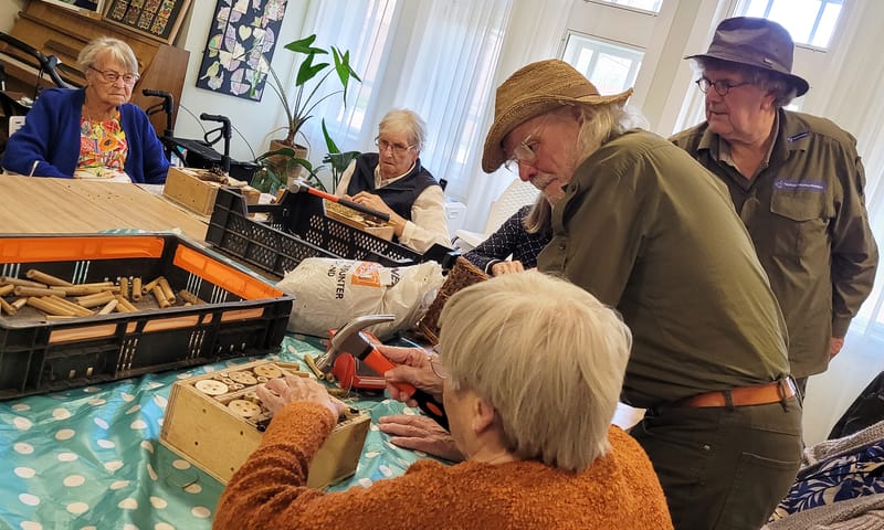 Ad en Ad aan het werk. Ad en Ad in actie