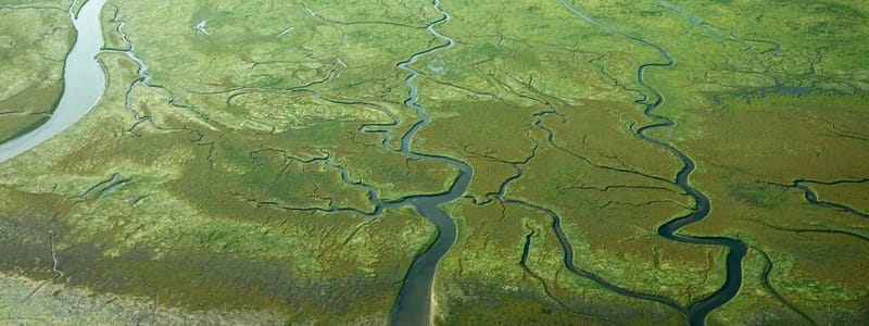 FREIIA De Circulaire Eilandquiz-3-Natuurmonumenten