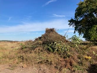 Heidebeheer Dwingelderveld