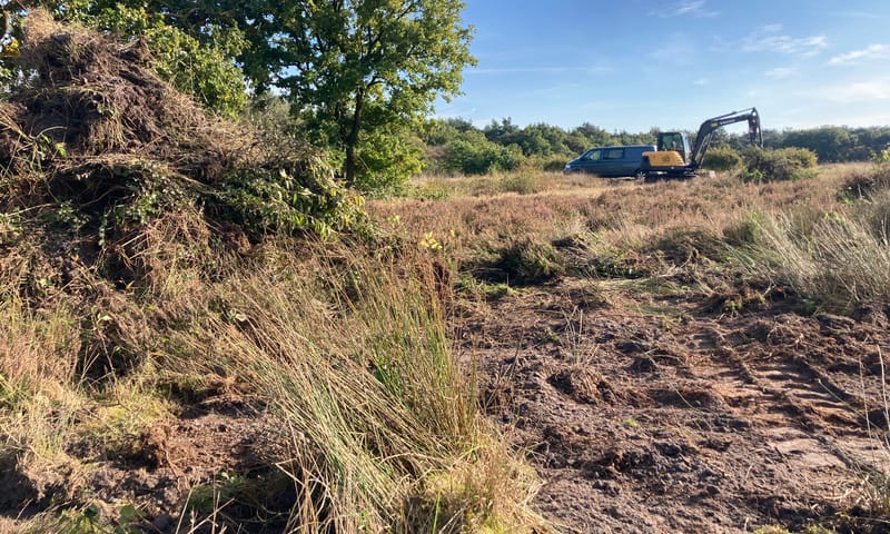 Heidebeheer Dwingelderveld