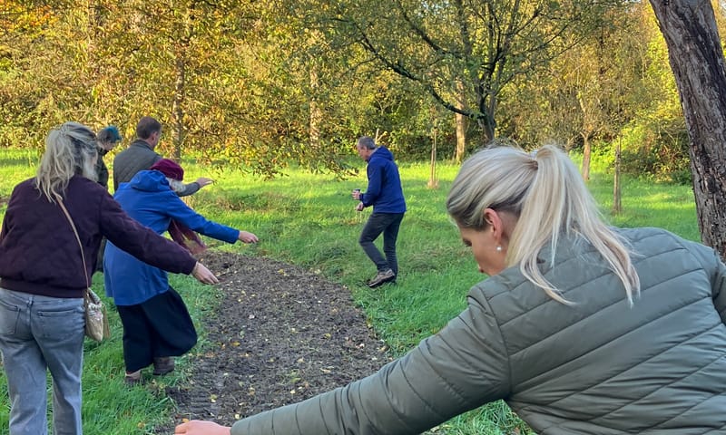 bloemen zaaien bloemen zaaien