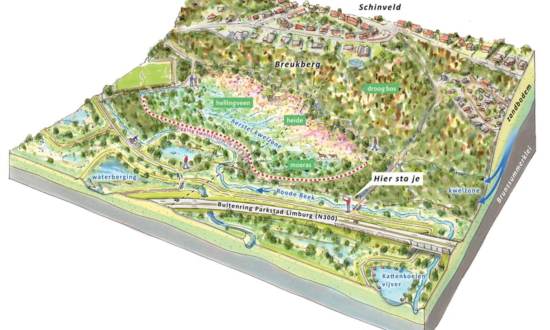 Een impressie van de Breukberg, met in rode stippellijn de locatie van het kwelscherm