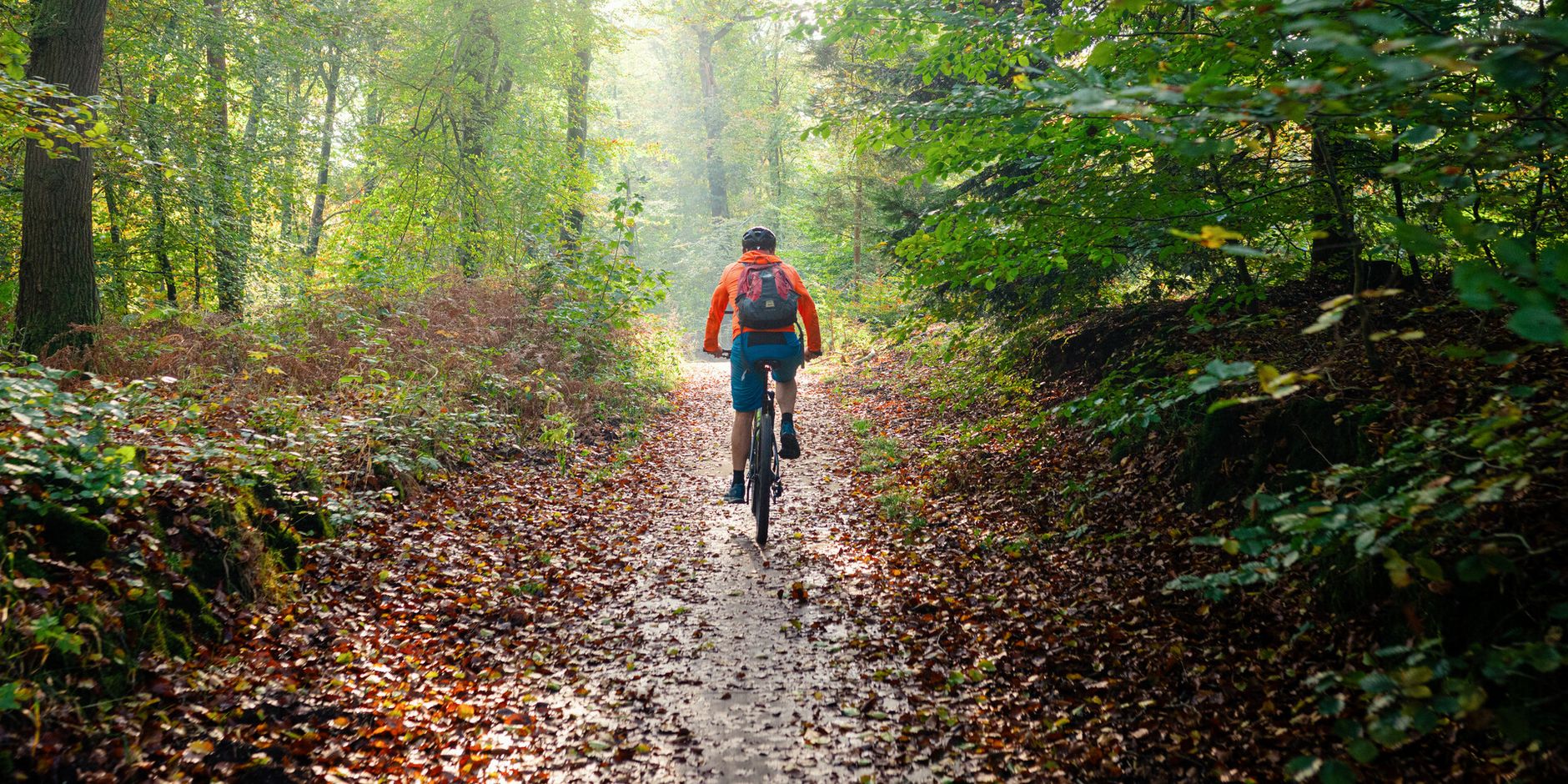 MTB-vignet 2025