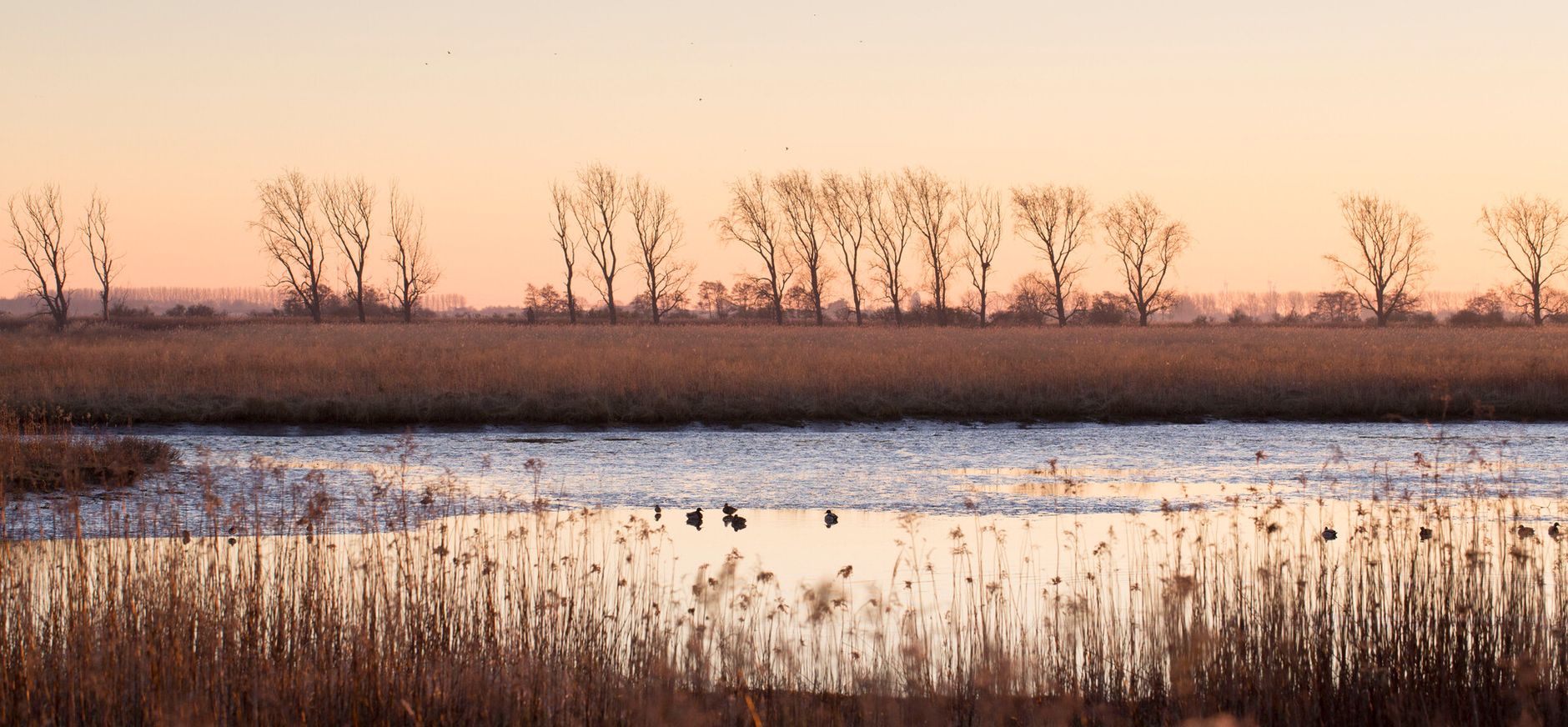 winter op Tiengemeten winter