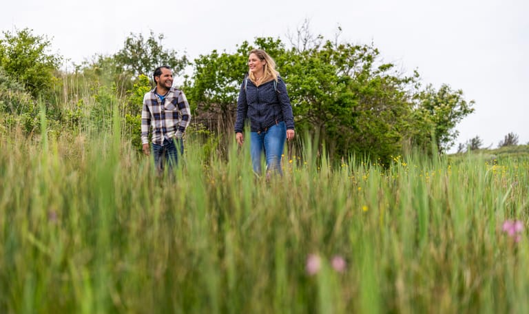 Veenweidepad wandelen